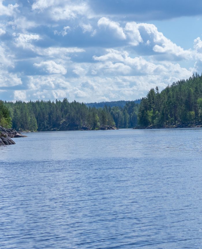 Kaunis järvimaisema, jossa on vehreitä metsiä ja kirkasta vettä auringonvalossa.